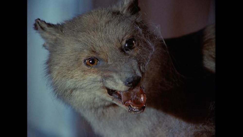 吸血のデアボリカの画像