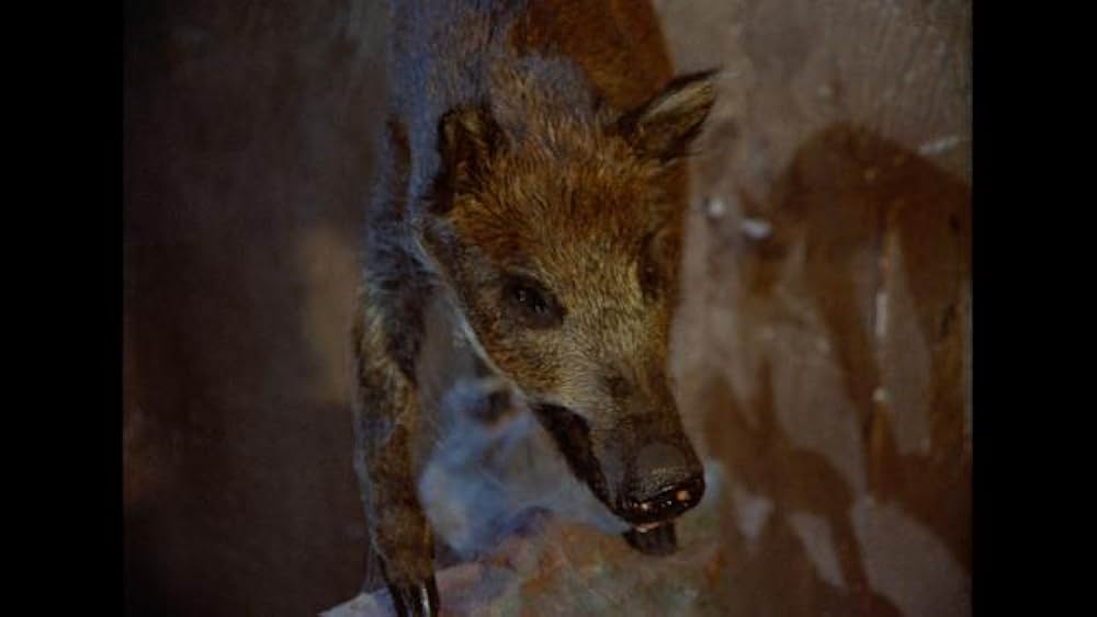 吸血のデアボリカの画像