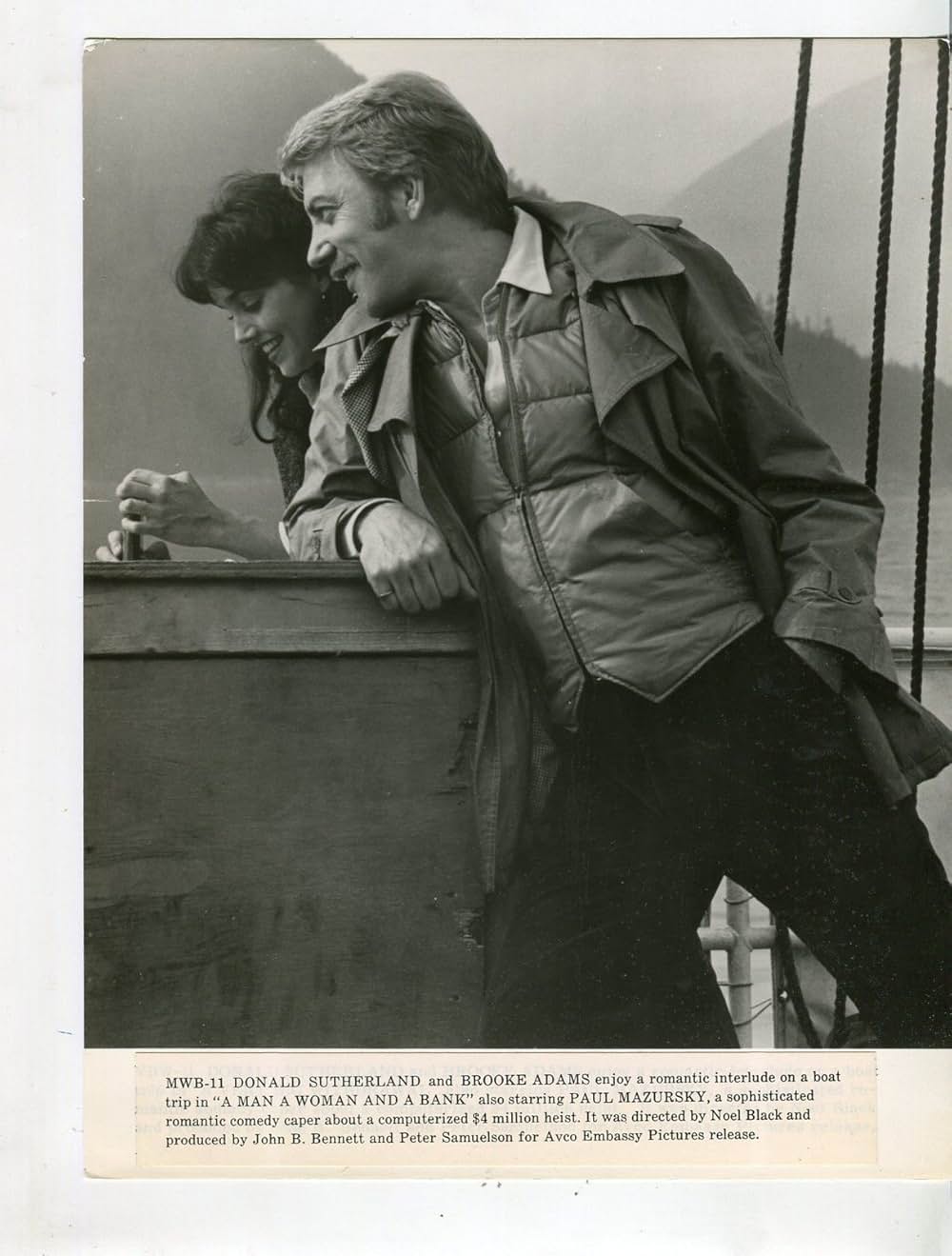 男と恋と銀行泥棒の画像