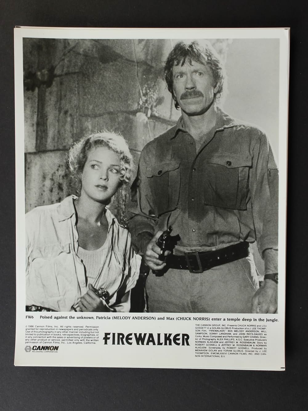 ファイアーウォーカーの画像