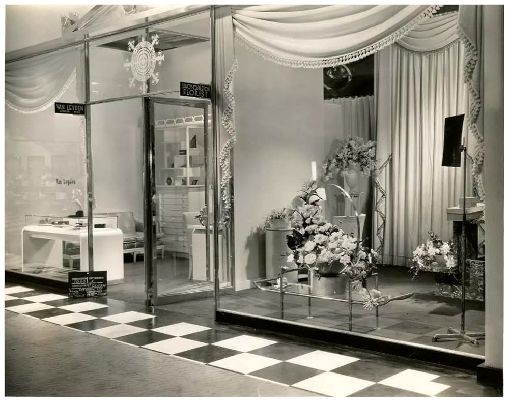 春を手さぐるの写真