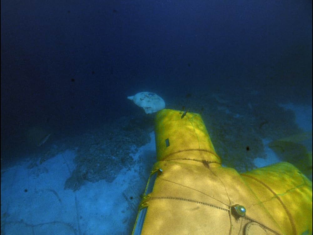 太陽のとどかぬ世界の画像