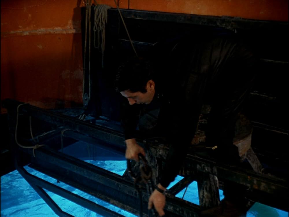 太陽のとどかぬ世界の画像