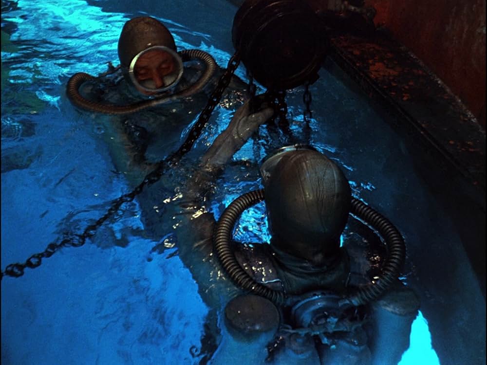 太陽のとどかぬ世界の画像