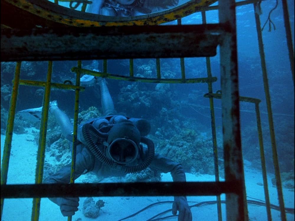 太陽のとどかぬ世界の画像