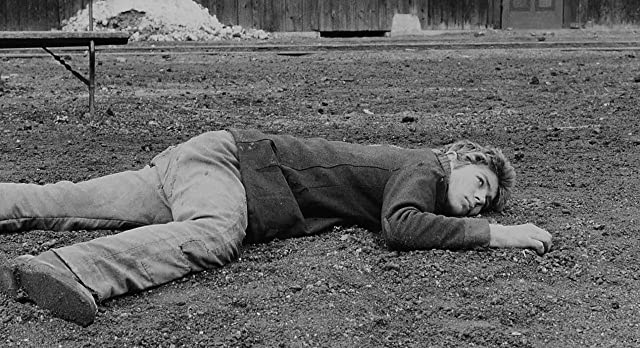 明日に生きるの画像