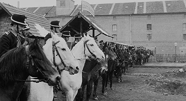 明日に生きるの画像