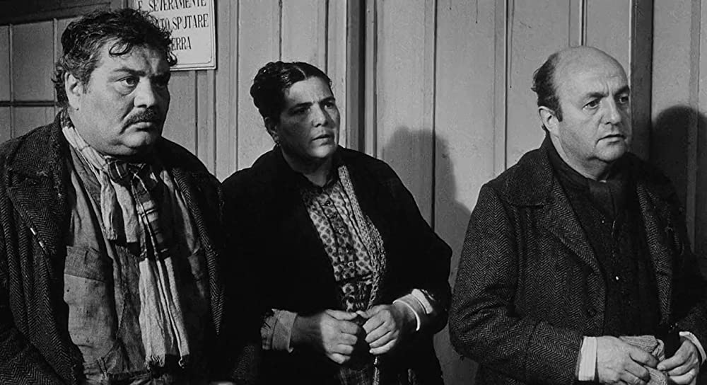 明日に生きるの画像