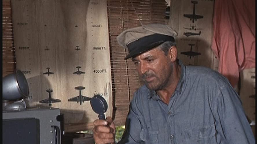 がちょうのおやじの画像