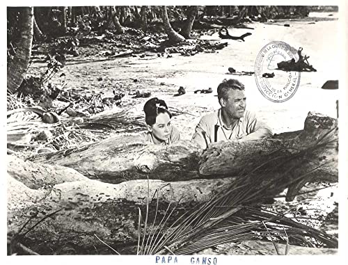 がちょうのおやじの画像