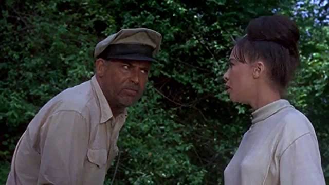 がちょうのおやじの画像