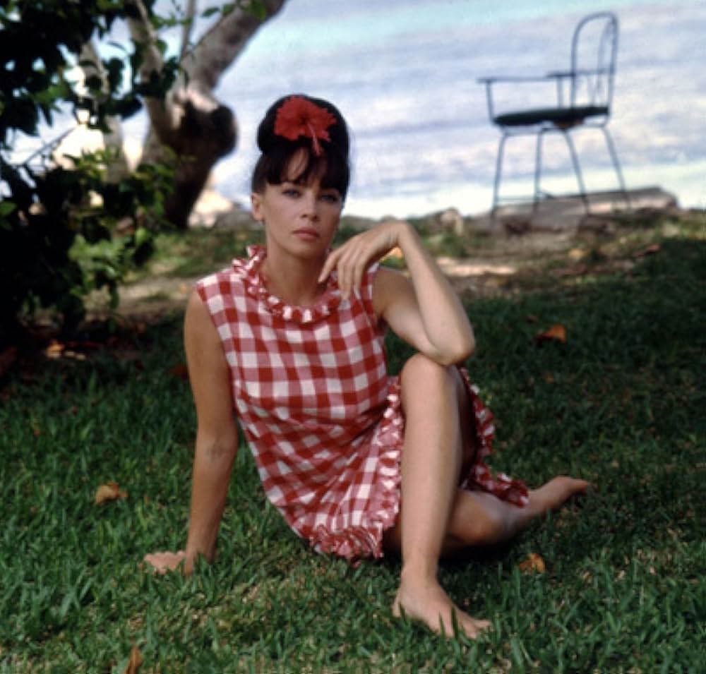 がちょうのおやじの画像