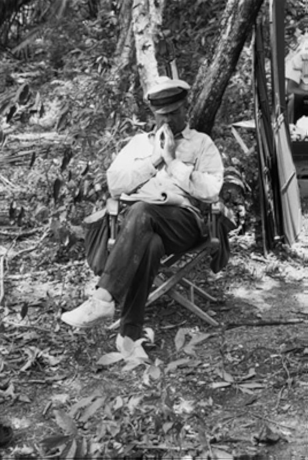 がちょうのおやじの画像