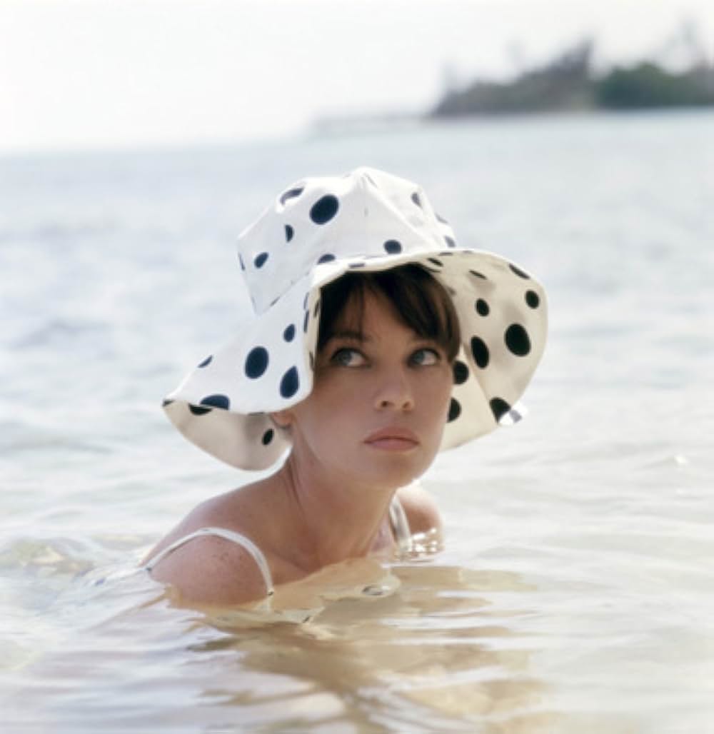 がちょうのおやじの画像