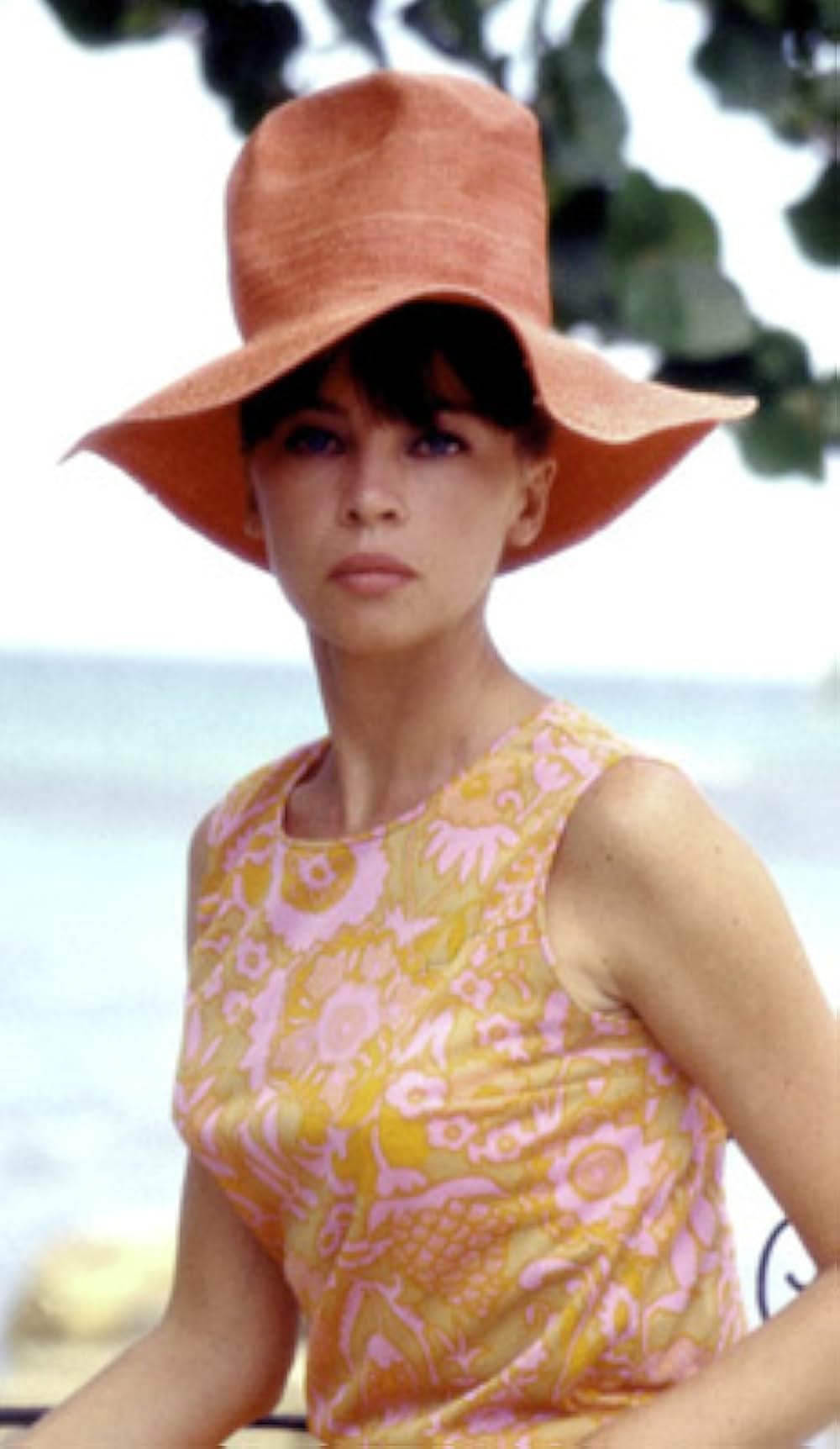 がちょうのおやじの画像