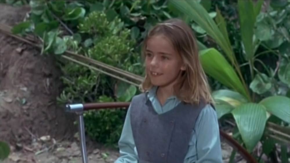 がちょうのおやじの画像