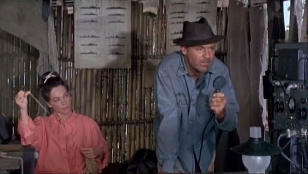 がちょうのおやじの画像