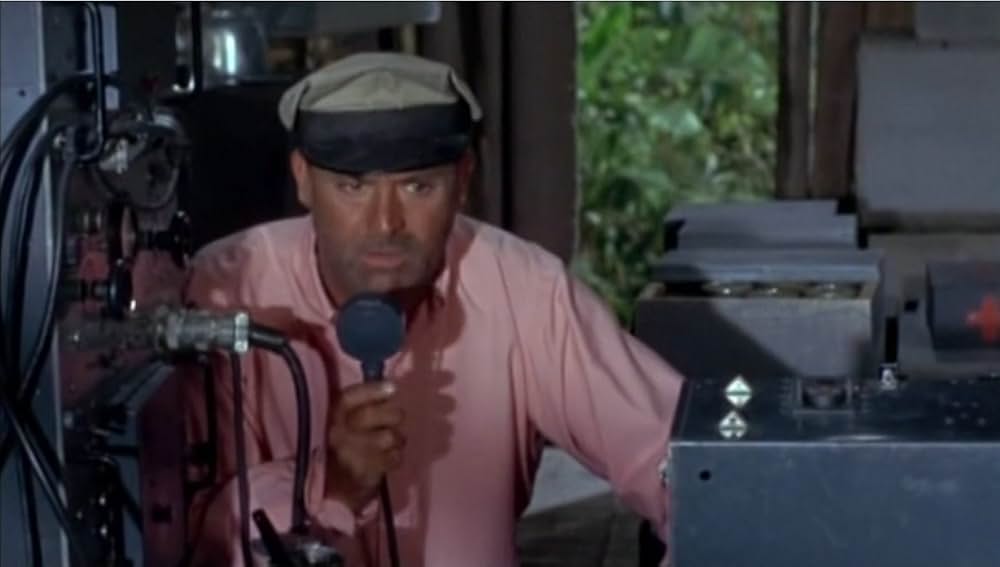 がちょうのおやじの画像