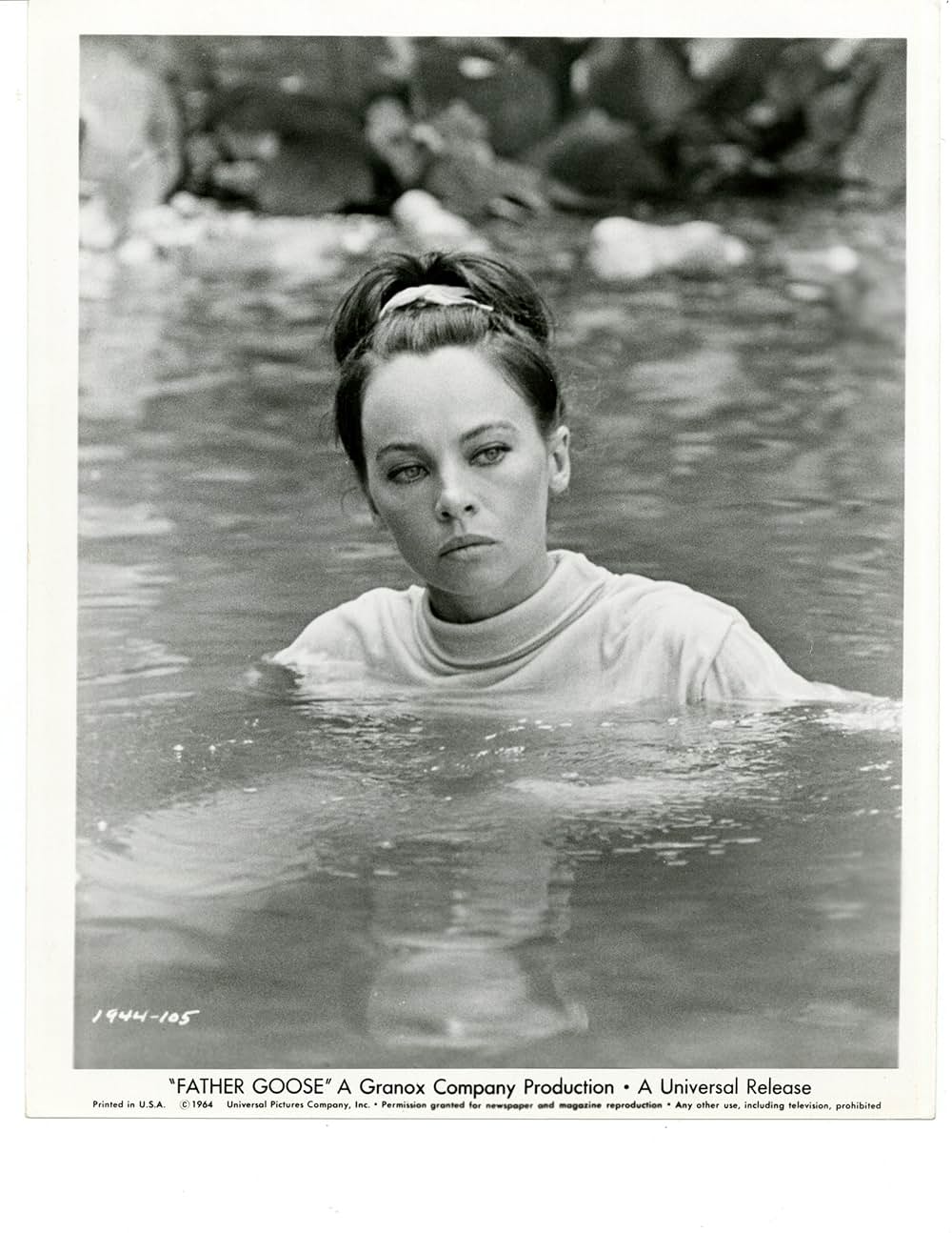 がちょうのおやじの画像