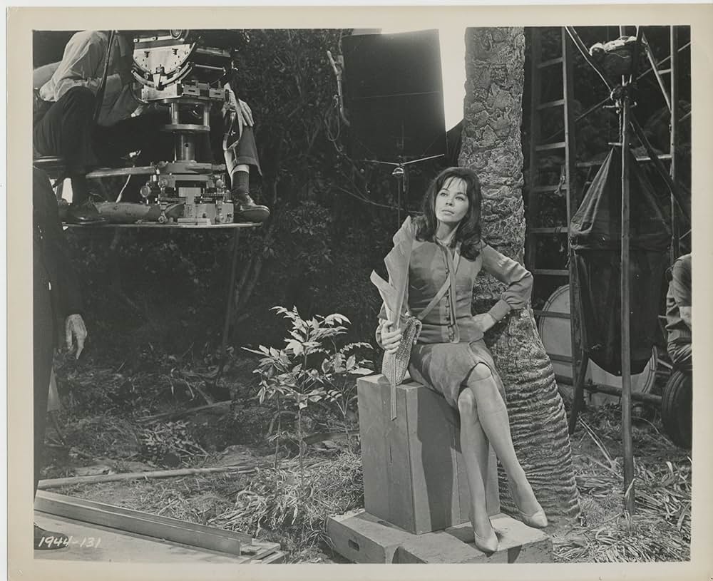 がちょうのおやじの画像