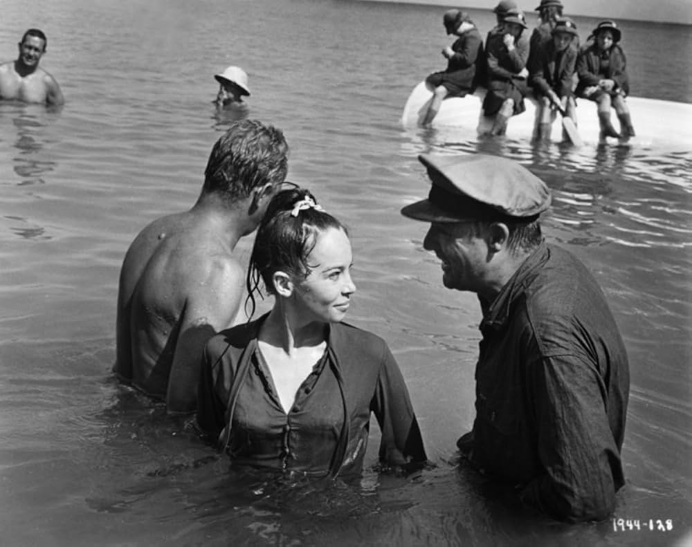 がちょうのおやじの画像