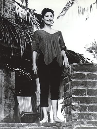 イグアナの夜の画像