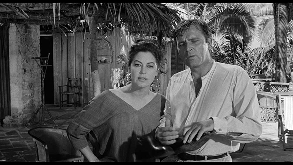 イグアナの夜の画像