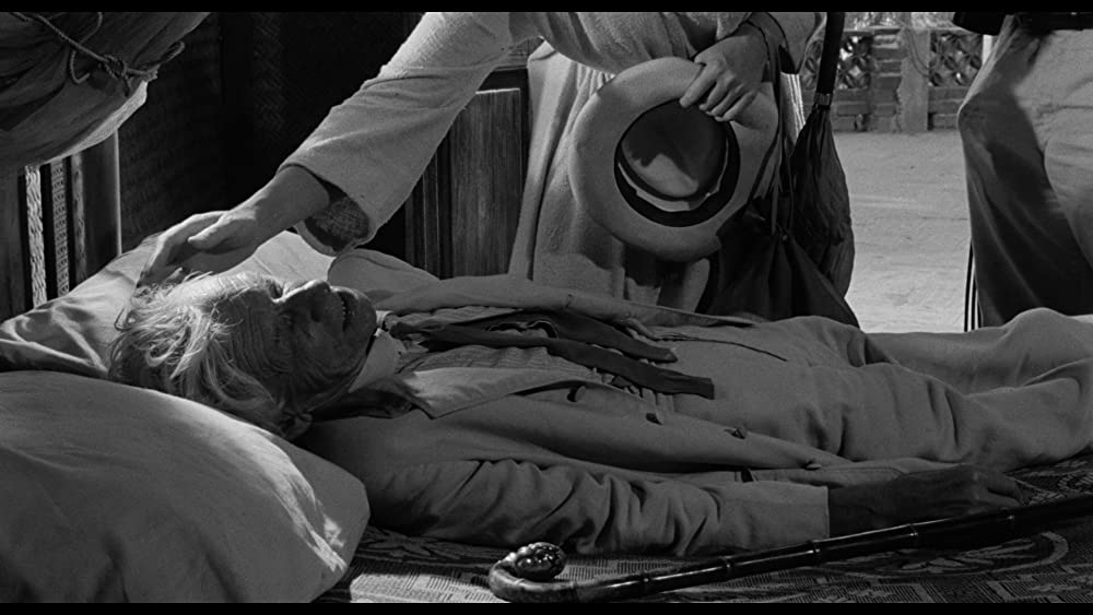 イグアナの夜の画像