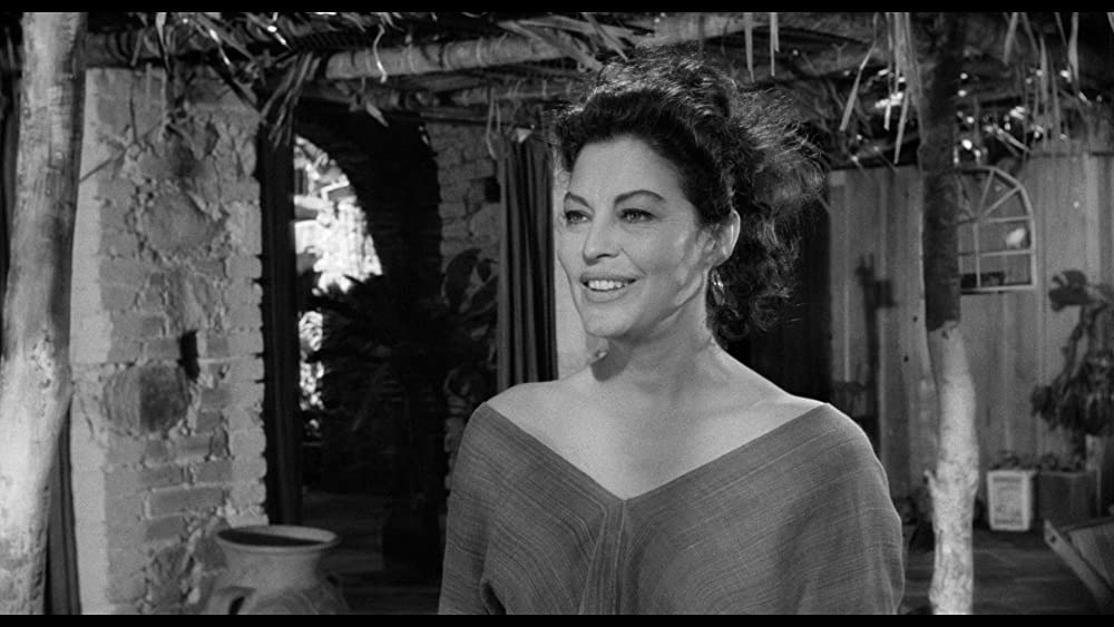 イグアナの夜の画像