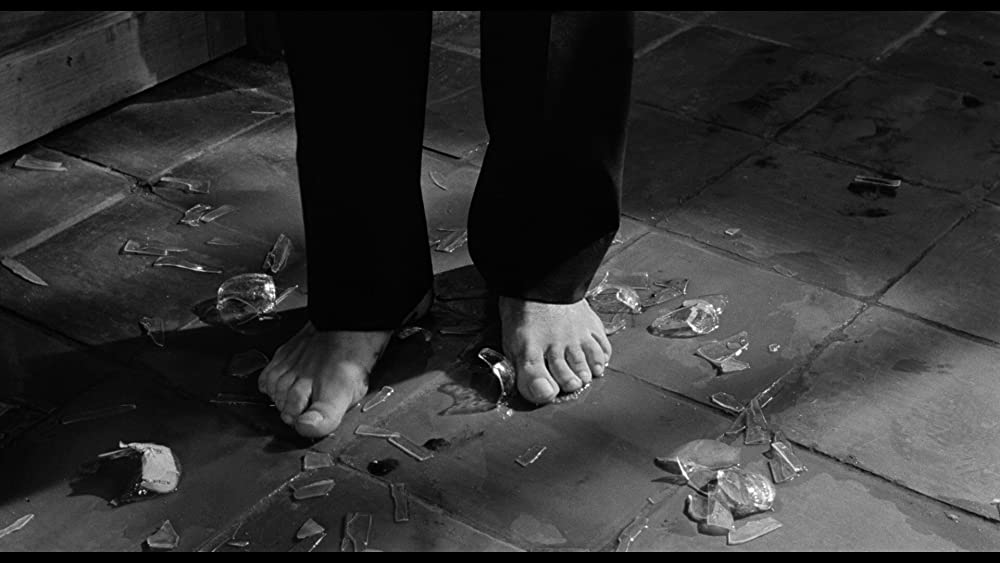 イグアナの夜の画像