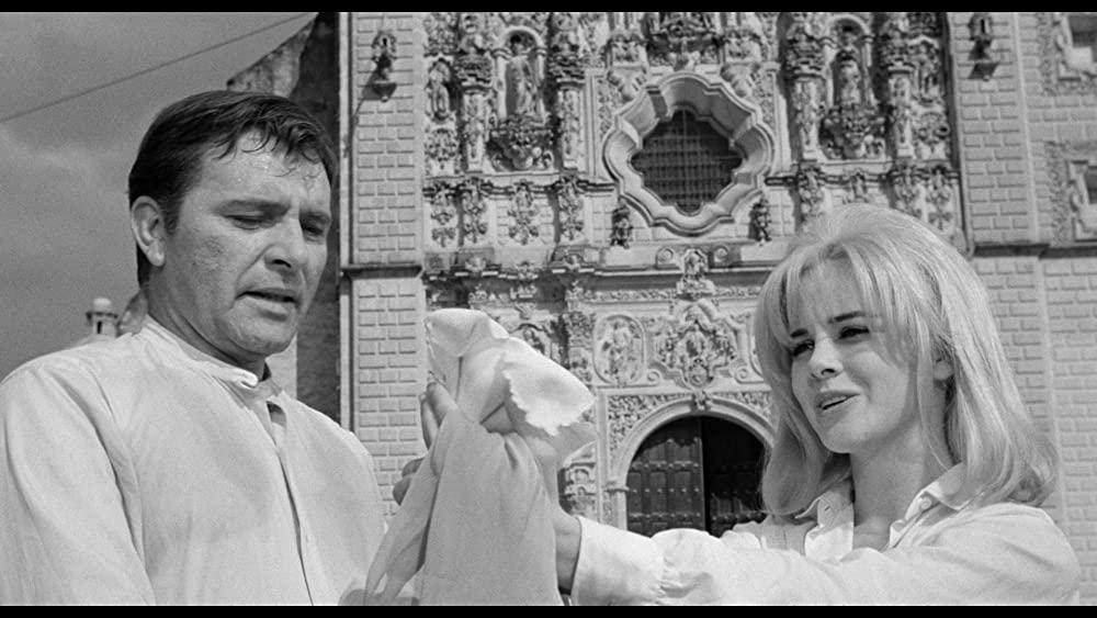 「イグアナの夜」リチャード・バートン & スー・リオンの画像