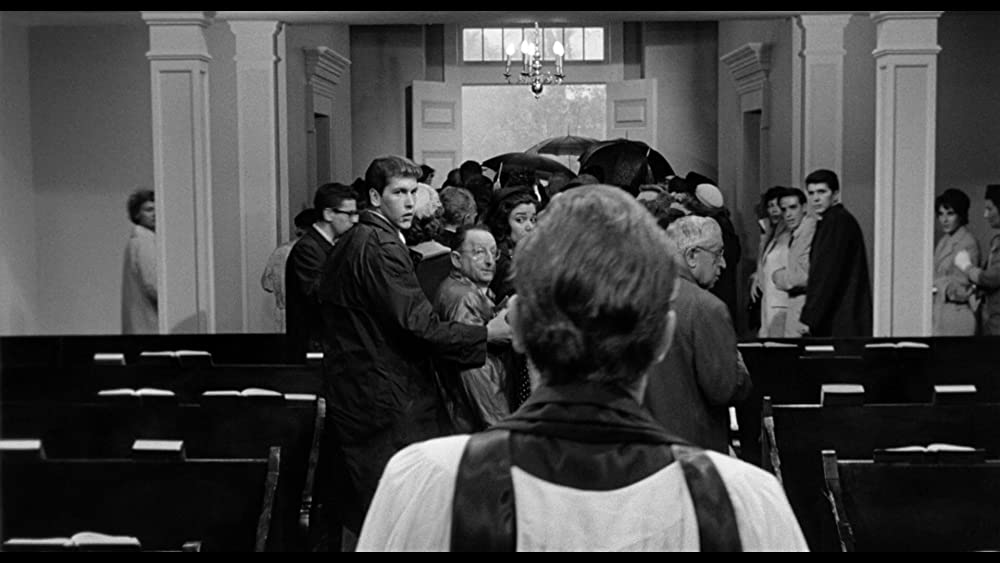 イグアナの夜の画像