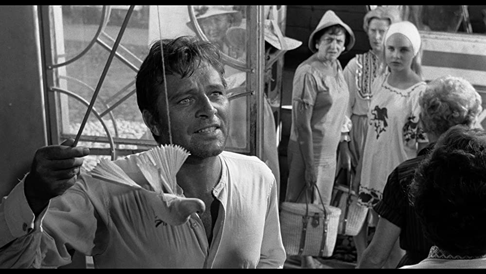 「イグアナの夜」リチャード・バートン & スー・リオンの画像