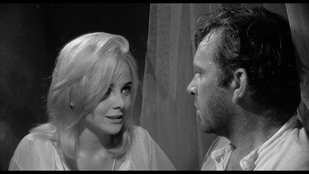 「イグアナの夜」リチャード・バートン & スー・リオンの画像