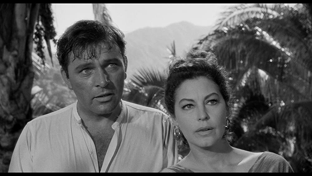 イグアナの夜の画像