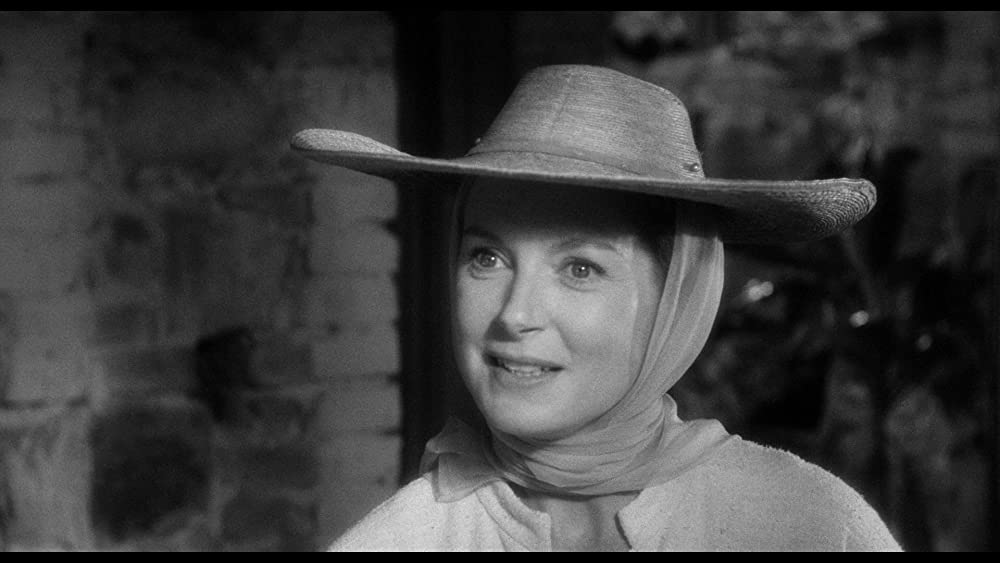 イグアナの夜の画像