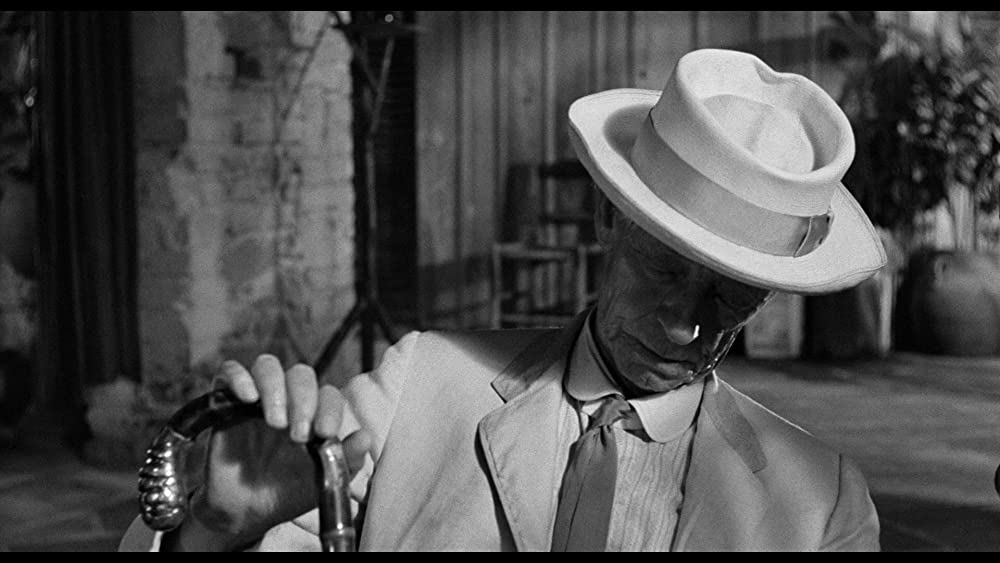 イグアナの夜の画像