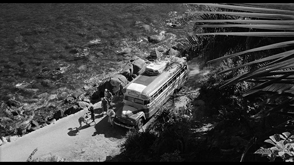 イグアナの夜の画像