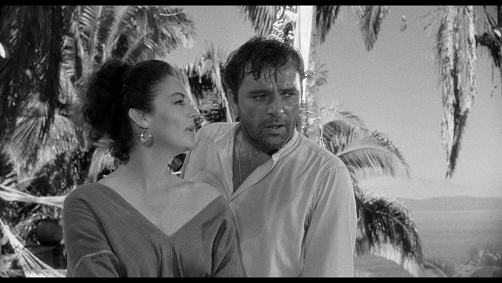 イグアナの夜の画像