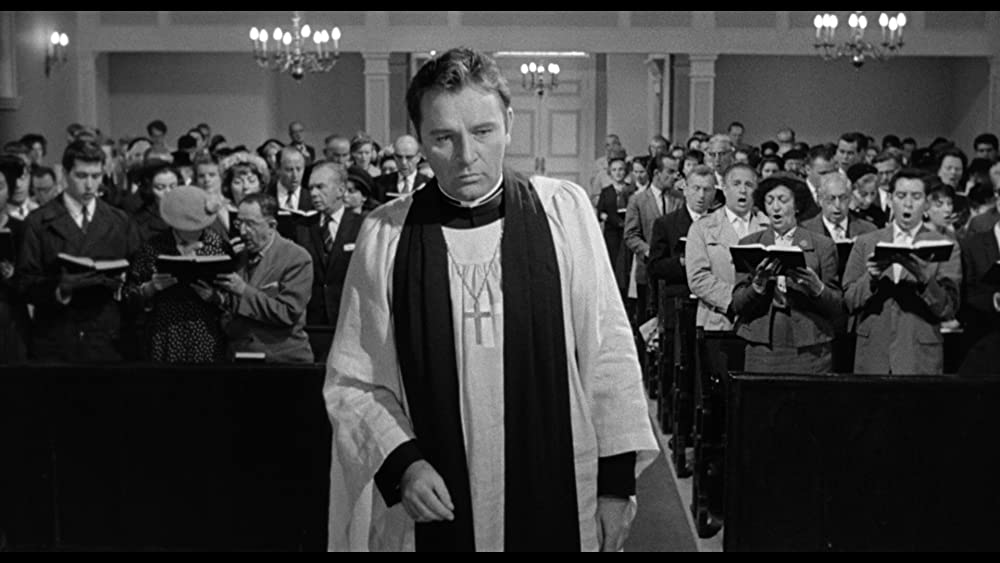 イグアナの夜の画像