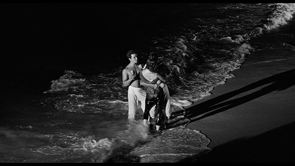 イグアナの夜の画像