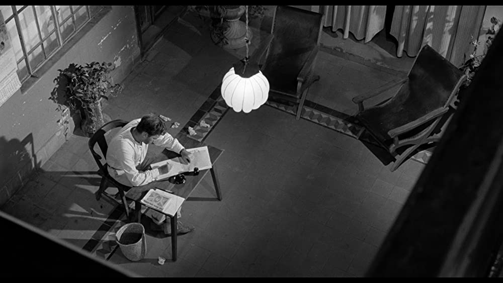 イグアナの夜の画像