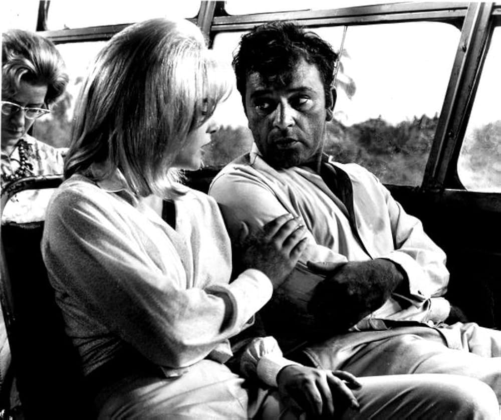 イグアナの夜の画像