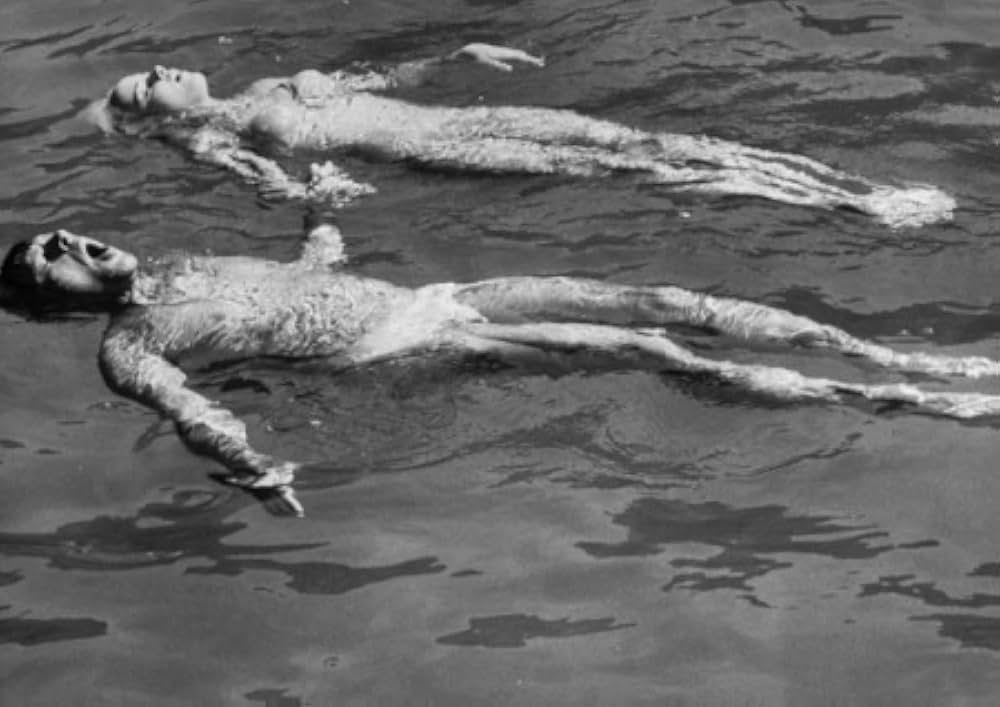 イグアナの夜の画像