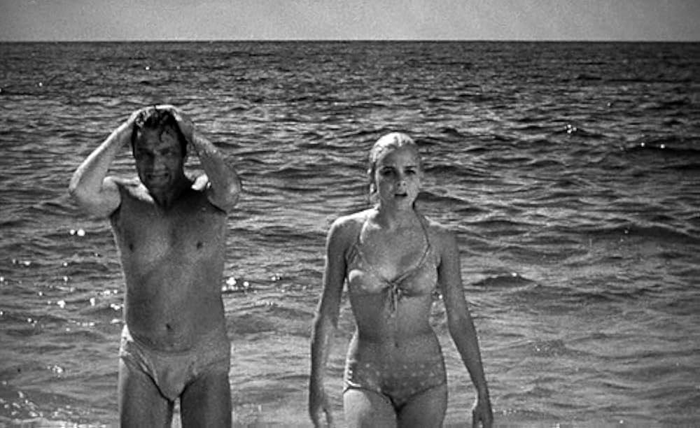 イグアナの夜の画像