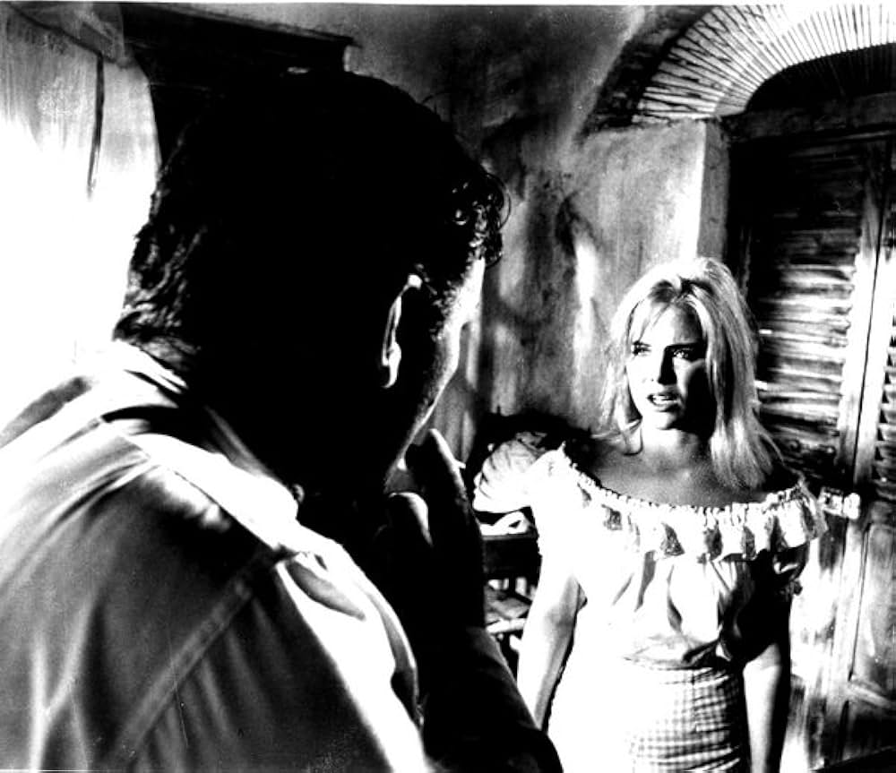 イグアナの夜の画像