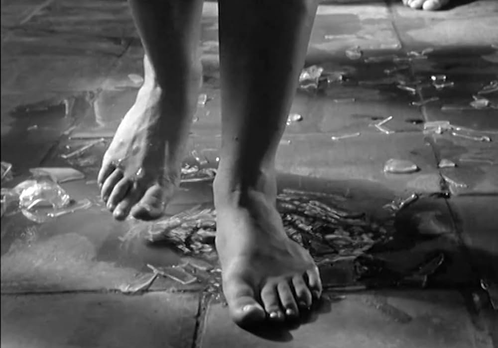 イグアナの夜の画像