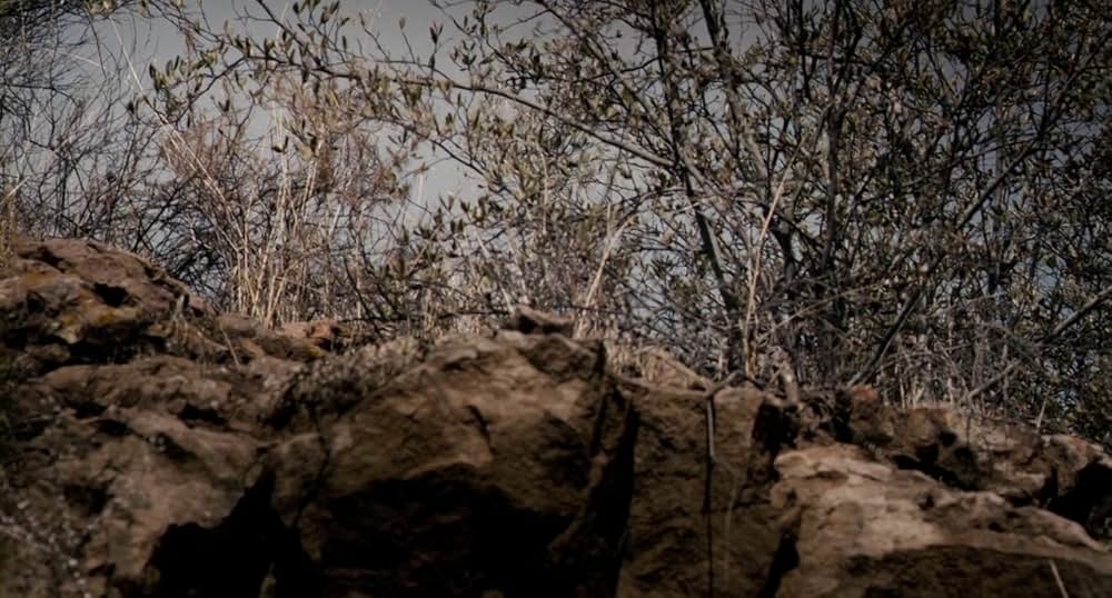 インサイド・ミーの画像