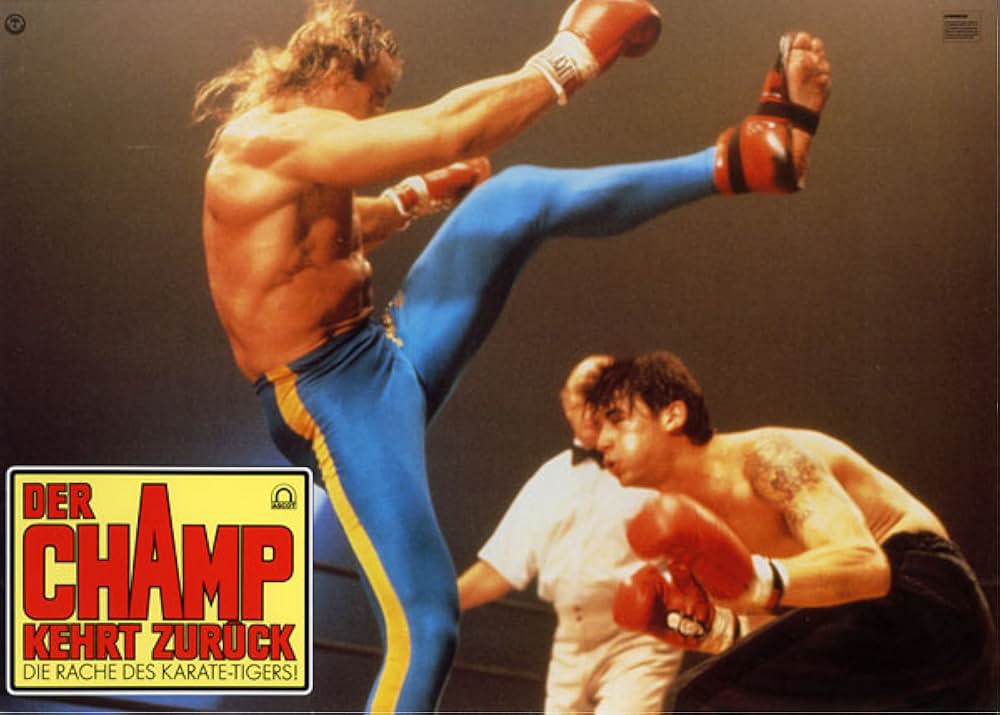 キックボクサー2の画像