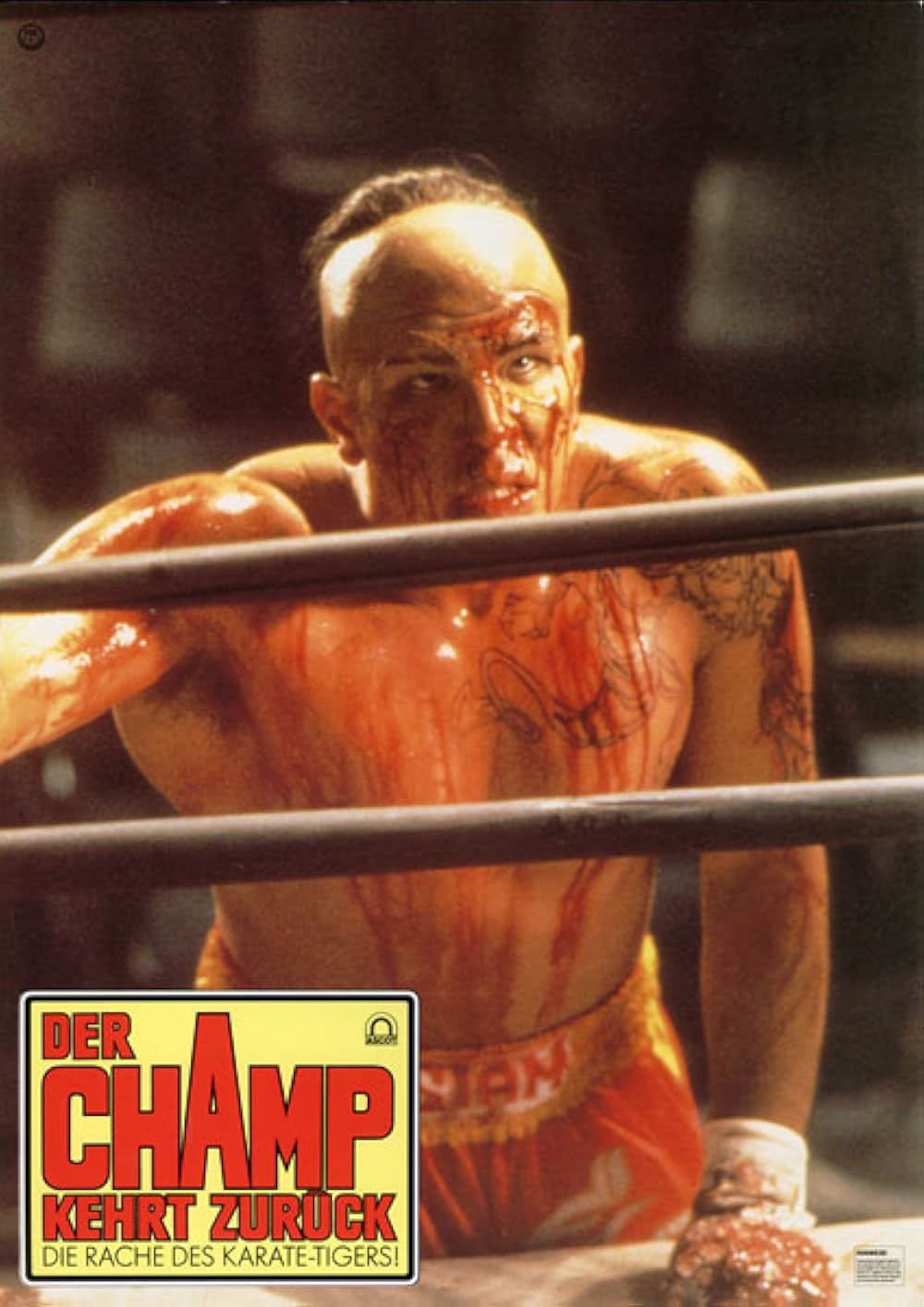 キックボクサー2の画像